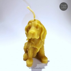 BEESWAX CANDLE - COCKER...